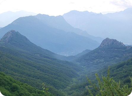 Τα έργα μας